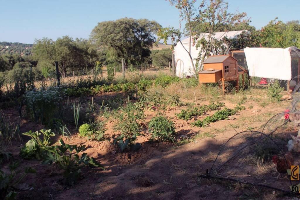 Gosto do Campo Lavre Exterior foto